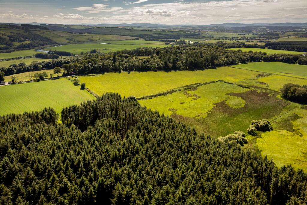 Primary image of Lot 7 Cothill Woodland, Fintray, Aberdeen, Aberdeenshire, AB21