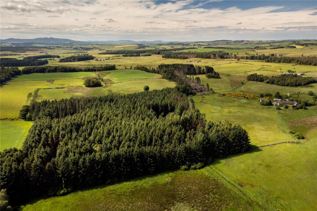 Additional image 4 of Lot 7 Cothill Woodland, Fintray, Aberdeen, Aberdeenshire, AB21