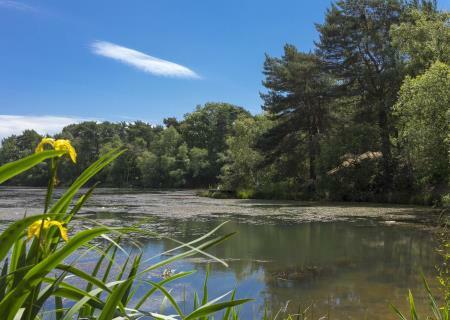 Additional image 22 of Honeysuckle Lane