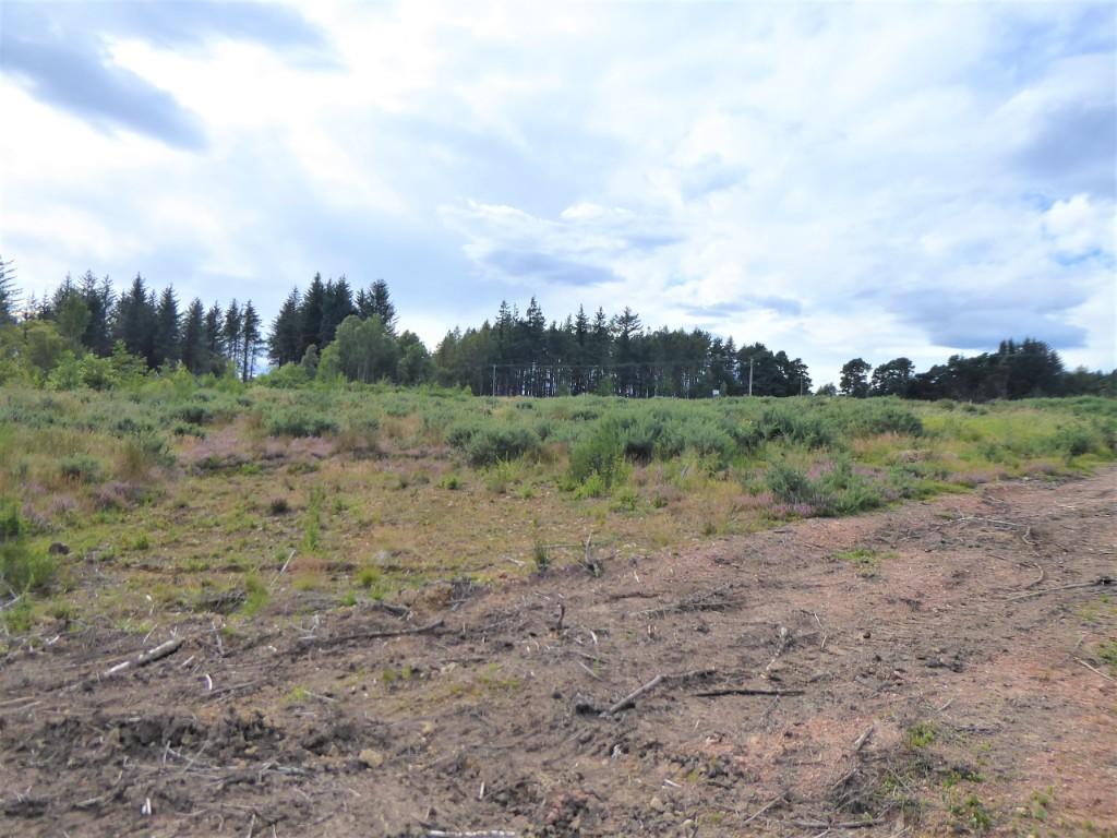 Additional image 3 of Plot 1, Cossack Wood, Craigellachie,  AB38 9SL: