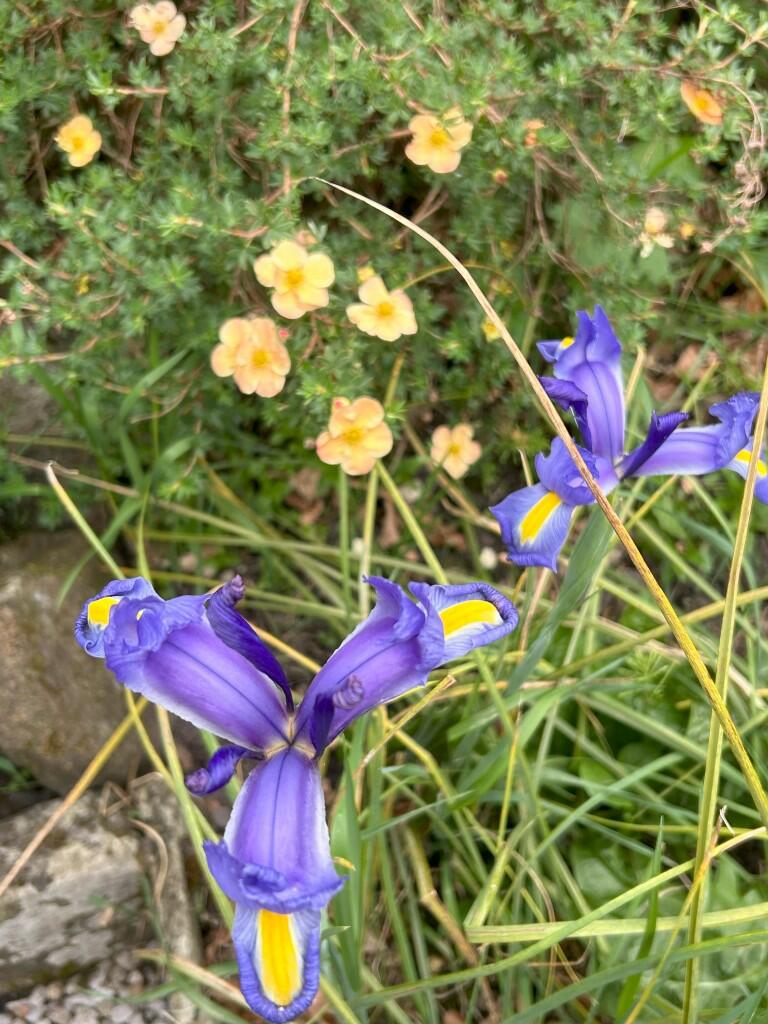 Additional image 20 of College Croft, BD24