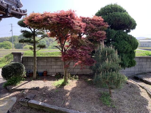 Additional image 8 of Hagata, Takase-cho, Mitoyo City, Kagawa Prefecture