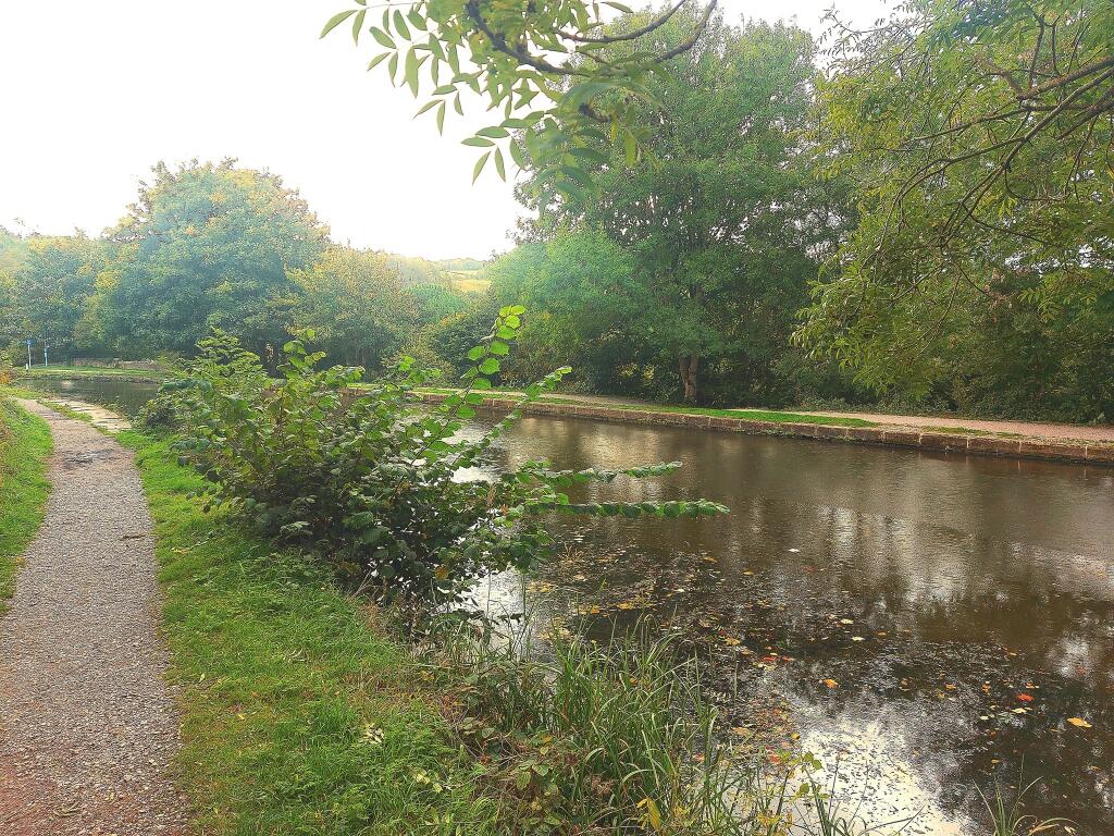 Additional image 19 of The Locks, Bingley