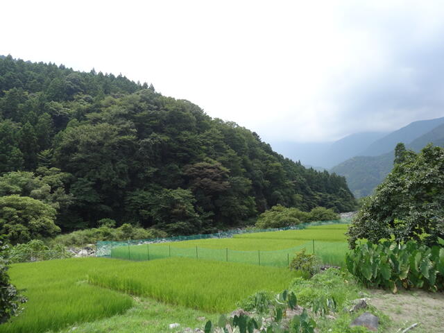 Additional image 15 of Southern part of Nanbu Town, Minamikoma District, Yamanashi Prefecture