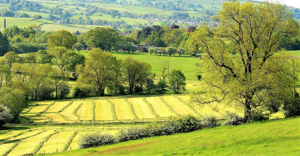 Additional image 3 of Thornton In Craven, Skipton
