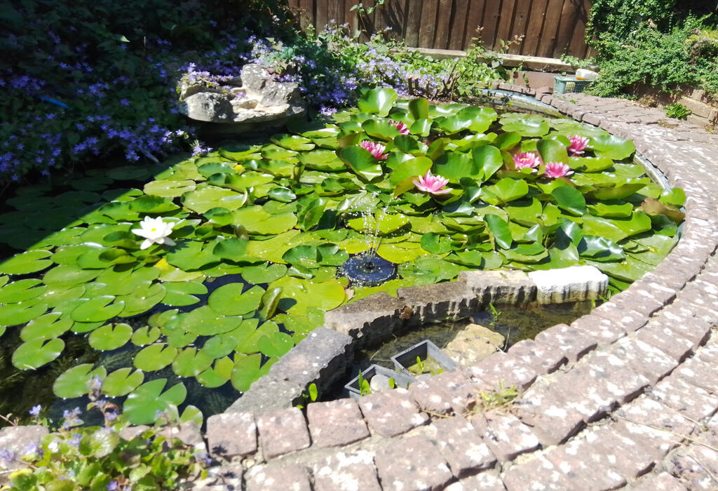 Additional image 18 of HILL VIEW RD, By The Paddocks