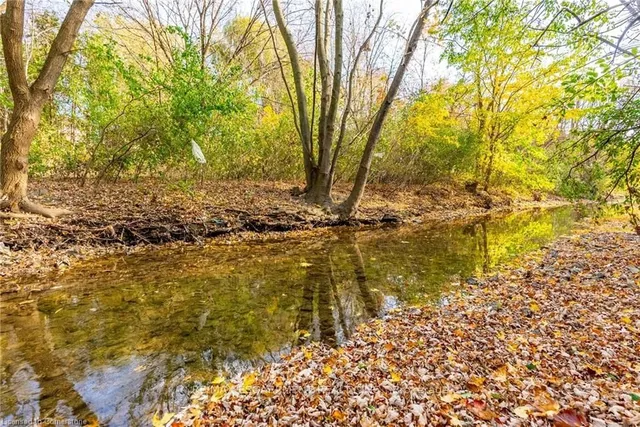 Additional image 37 of 1132 Lovingston Crt