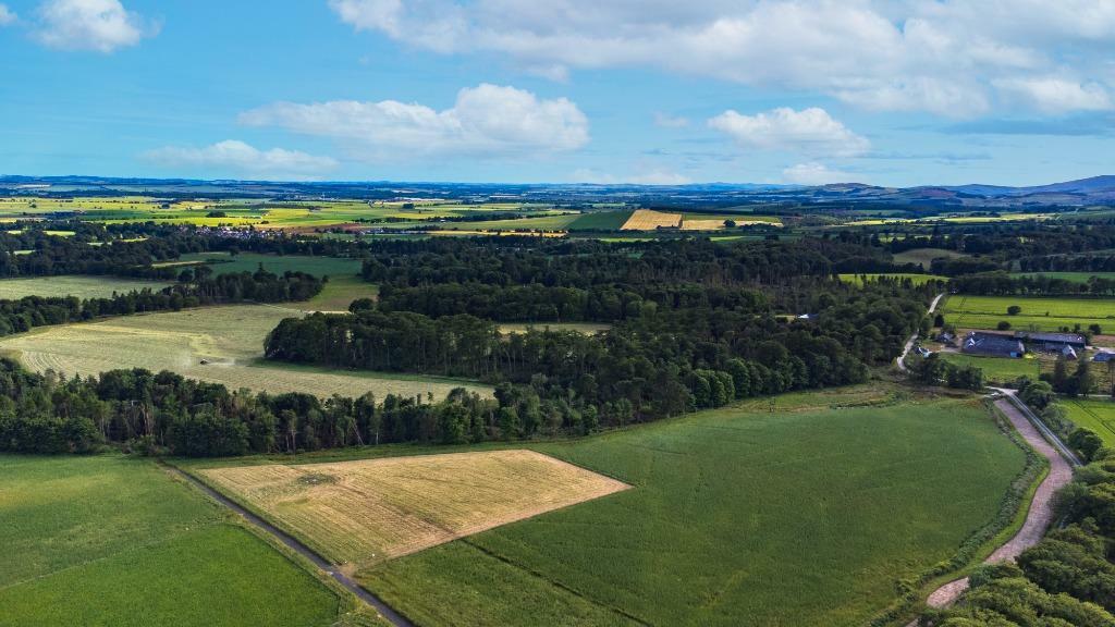 Additional image 7 of Fasque Estate, Aberdeenshire, AB30