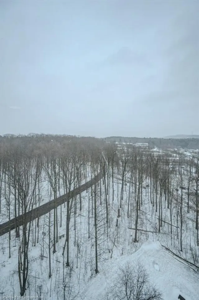 Additional image 26 of 55 Green Valley Dr Unit 1604