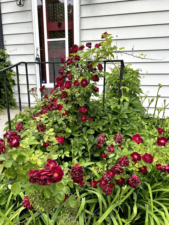 Additional image 37 of 4317 Limestone Rd