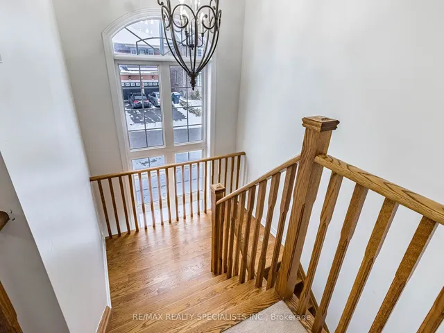 Additional image 24 of 90 Begonia Cres