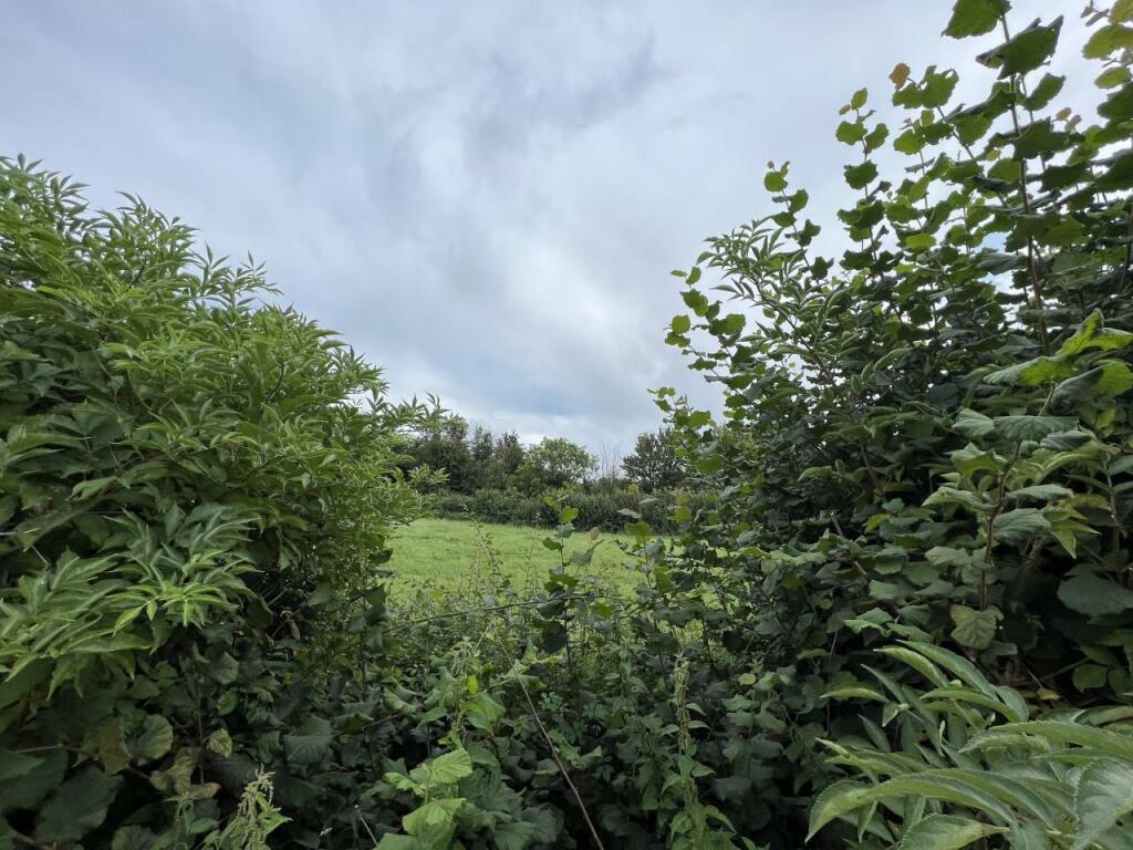 Additional image 11 of Iron Mill Lane, Oldford, Frome