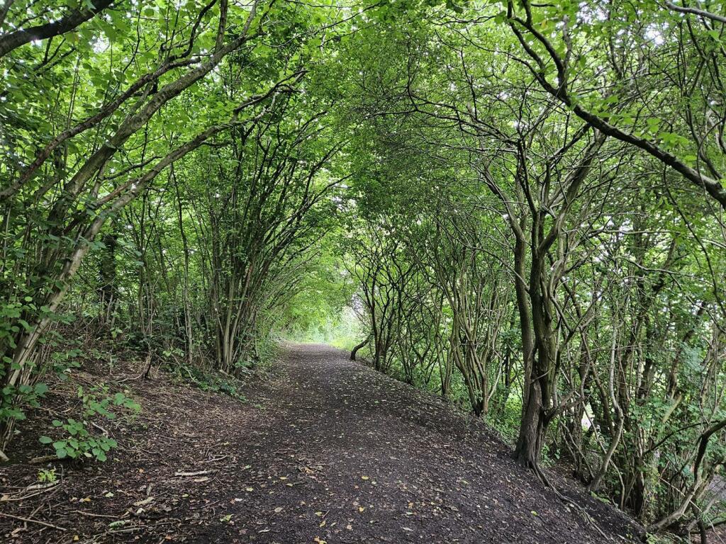 Additional image 35 of Mission Close, Cradley Heath
