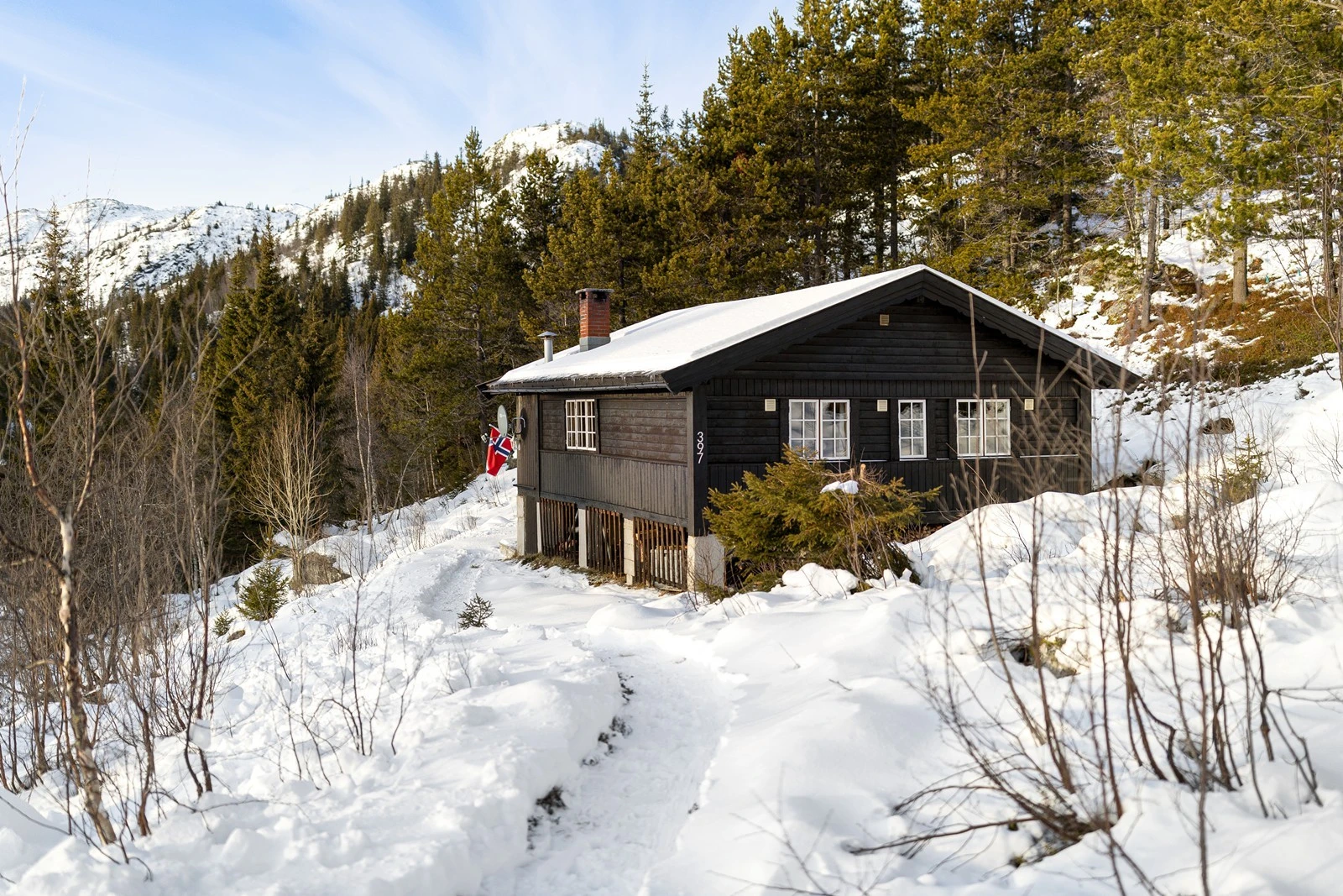 Kovvegen 397, 3690 Hjartdal