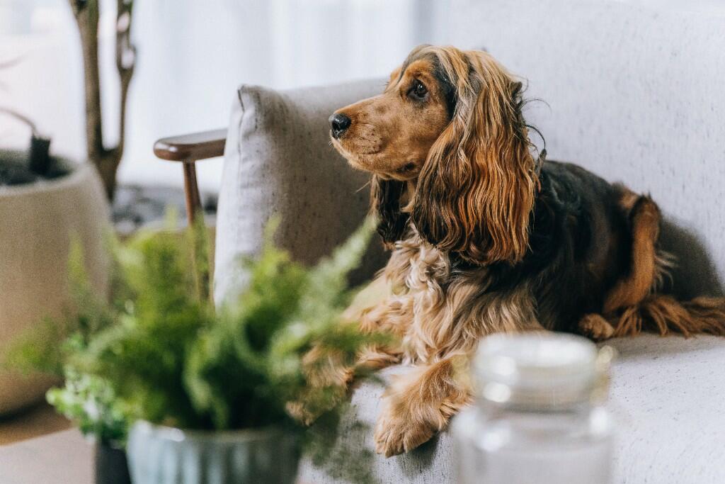 Additional image 21 of Lower Essex Street, Birmingham, B5