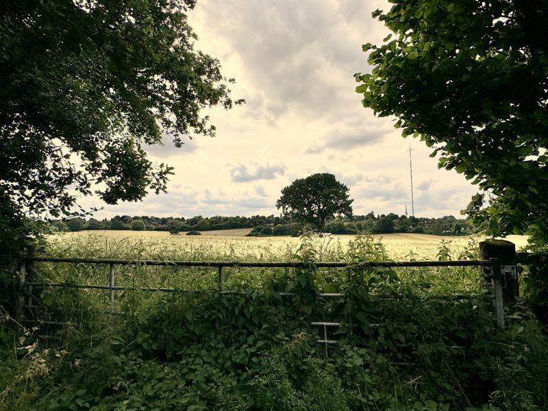 Additional image 19 of Homestead Drive, Four Oaks, Sutton Coldfield, B75 5LN