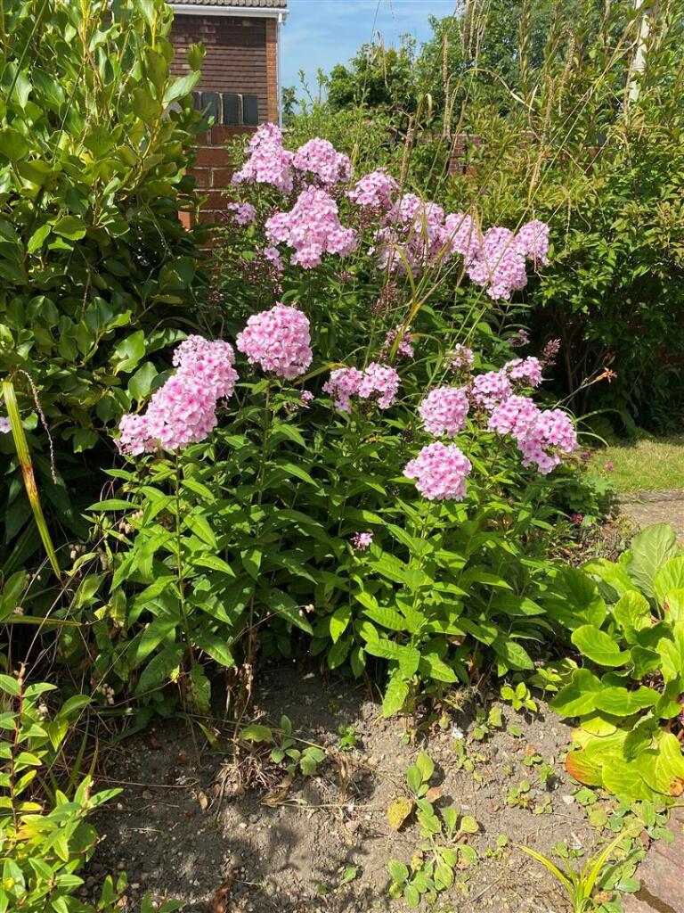 Additional image 24 of Fairmile Road, Halesowen