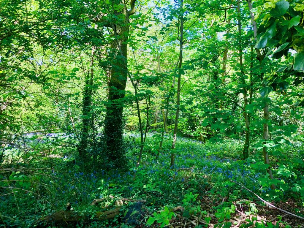 Additional image 16 of Merrions Close, Birmingham