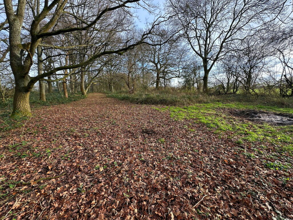 Additional image 9 of Tanners Green Lane, Wythall, B47 6BA