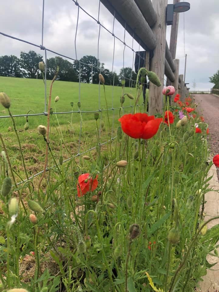 Additional image 11 of Unit 3a Storrage Lane, Redditch, Worcestershire, B48