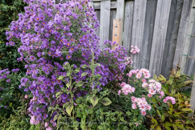 Additional image 29 of 48 Tidworth Sq