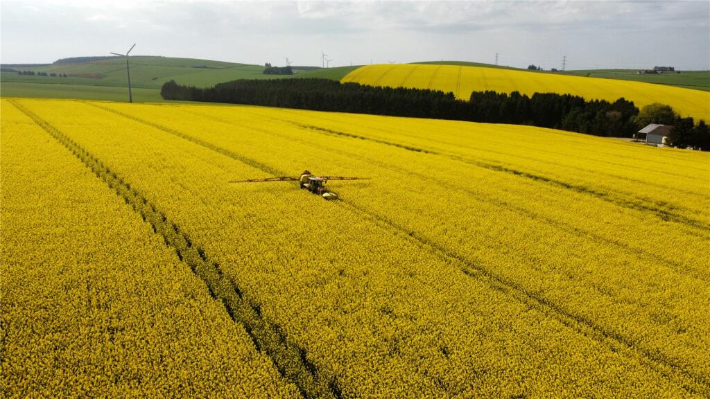 Additional image 5 of Clinkstone & Stodfold Farms, Huntly, Aberdeenshire, AB54