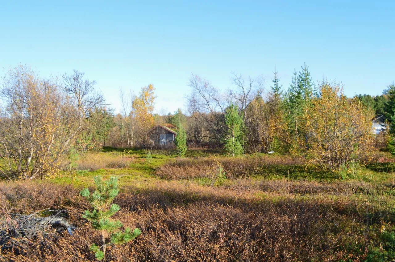 Additional image 2 of 5622-19/569, 9700 Lakselv