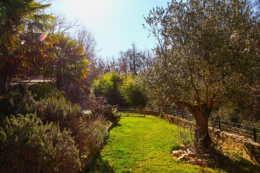 Additional image 2 of Languedoc-Roussillon, Aude, Puivert, France