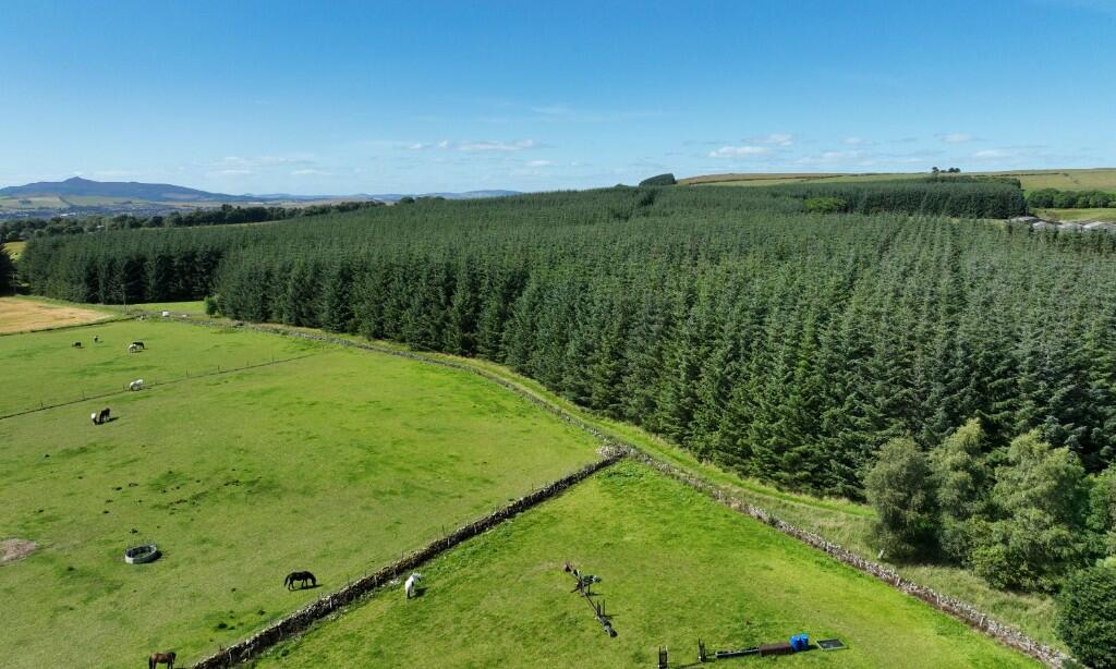 Additional image 6 of Ordiefauld Wood, Inverurie,  AB51