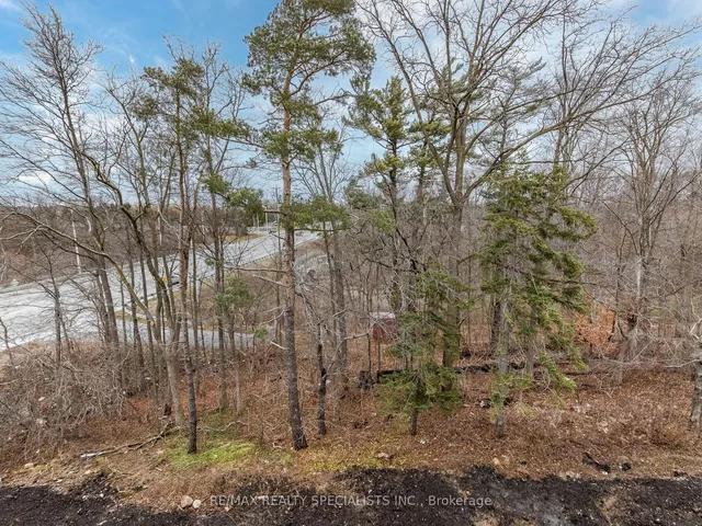 Additional image 24 of 5 Folcroft St