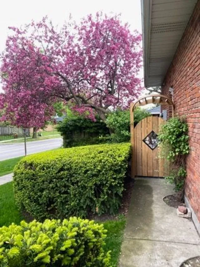 Additional image 8 of 154 Hendrie Ave