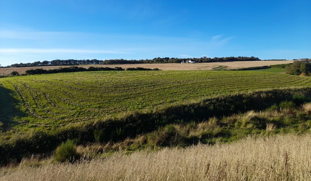 Additional image 3 of Land at Hillhead of Mountblairy, Forglen, Turriff, AB53 4JT