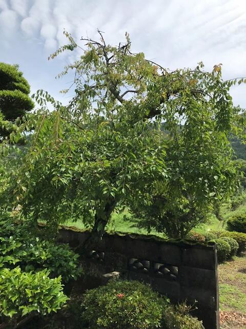 Additional image 21 of Hasegawacho, Isahaya City, Nagasaki Prefecture