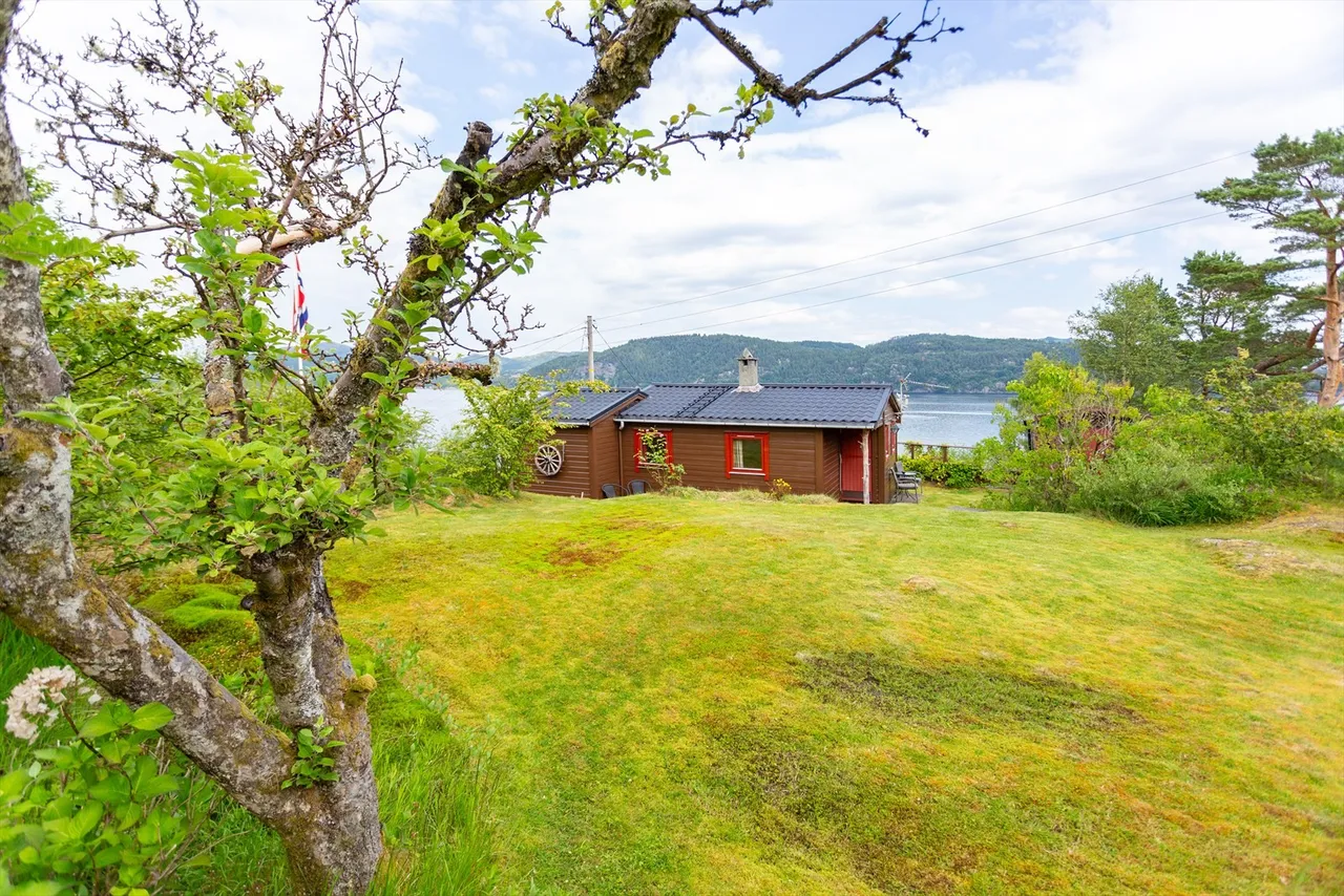 Additional image 3 of Signalneset 22, 24, and 26
