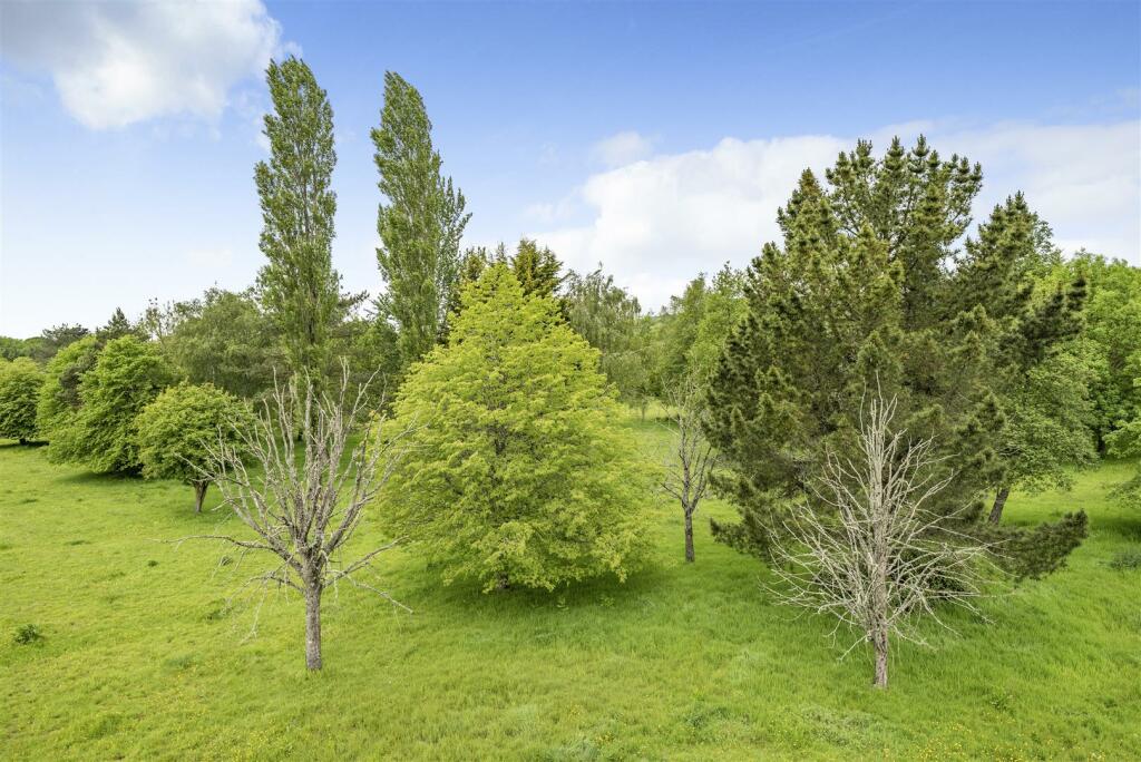 Additional image 31 of Halstock, Dorset