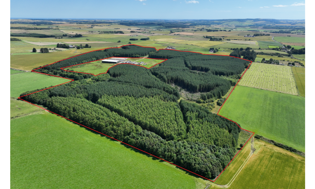 Additional image 13 of Ordiefauld Wood, Inverurie,  AB51