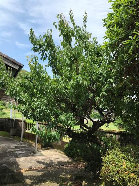 Additional image 17 of Hasegawacho, Isahaya City, Nagasaki Prefecture