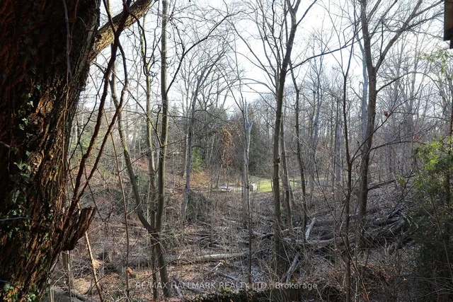 Additional image 36 of 225 Roslin Ave