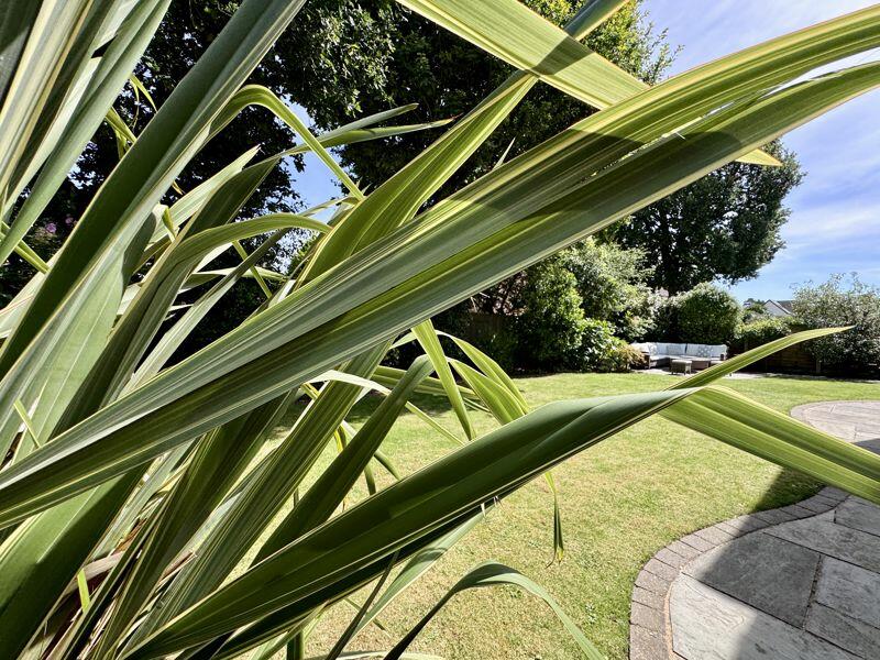 Additional image 27 of Ramblers Way, Four Oaks, Sutton Coldfield, B75 5DJ