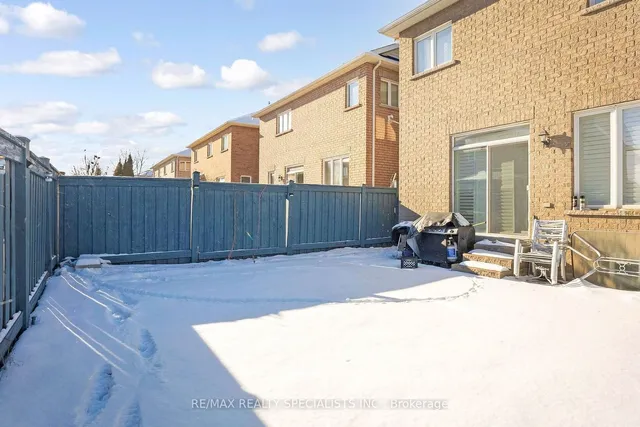 Additional image 38 of 40 Begonia Cres