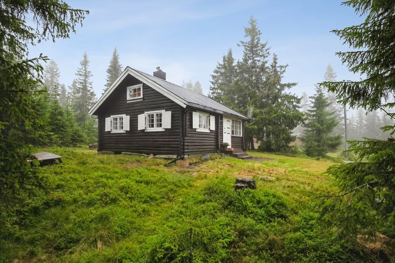 Primary image of Lauvlia 15, 2610 Mesnali