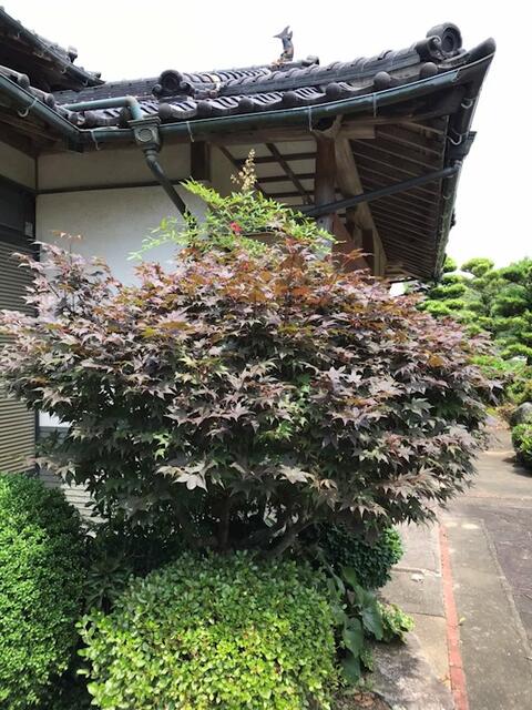 Additional image 20 of Hasegawacho, Isahaya City, Nagasaki Prefecture