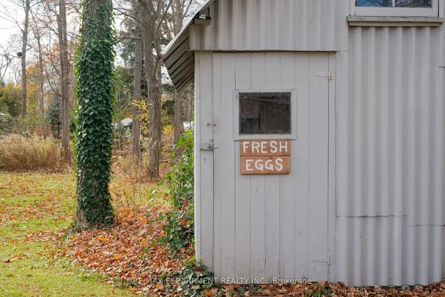 Additional image 33 of 4317 Limestone Rd