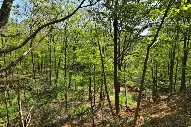 Additional image 27 of 1359 White Oaks Blvd Unit 1006