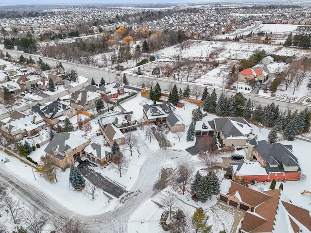 Additional image 38 of 6 Champion Crt