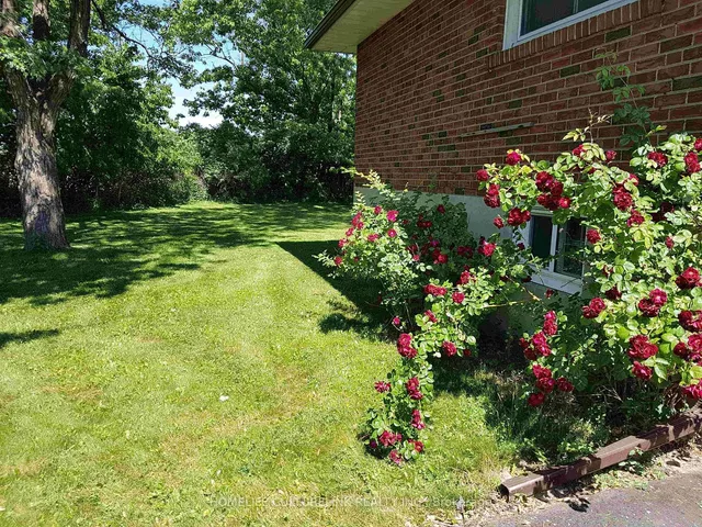 Additional image 7 of 36 Cavehill Cres