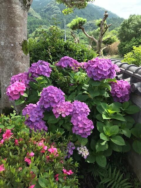 Additional image 16 of Hasegawacho, Isahaya City, Nagasaki Prefecture