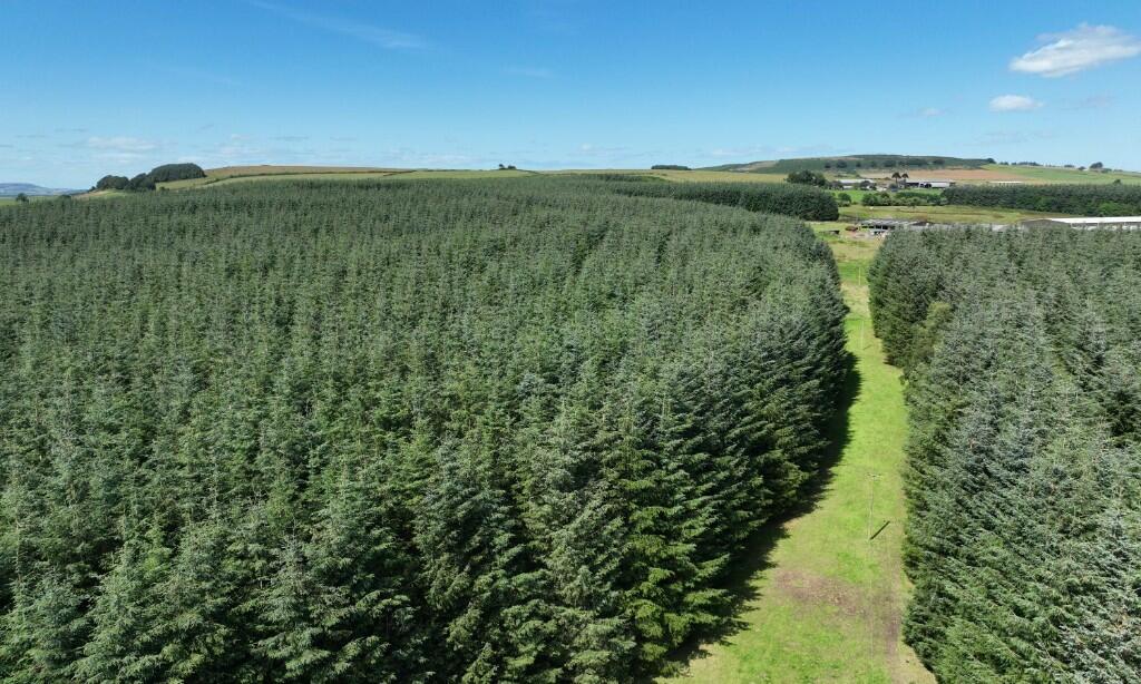 Additional image 10 of Ordiefauld Wood, Inverurie,  AB51