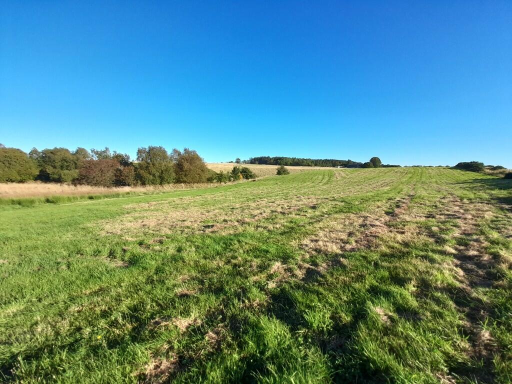 Additional image 7 of Land at Hillhead of Mountblairy, Forglen, Turriff, AB53 4JT