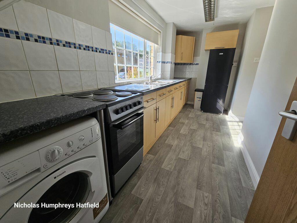 Additional image 17 of Cheviots